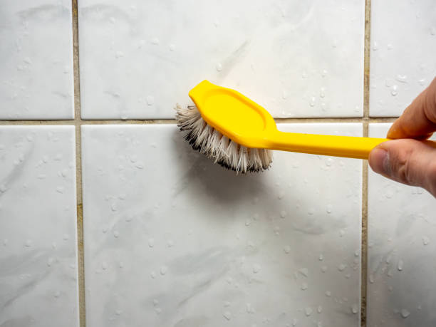 Best Professional Mold Removal  in Dade City North, FL