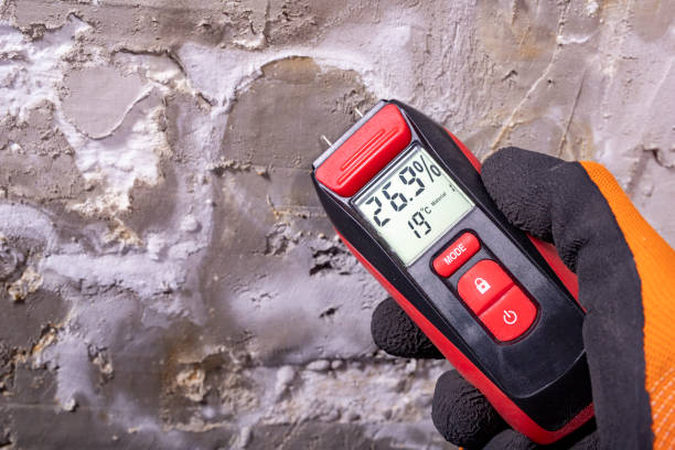 Best Water Damage Restoration  in Dade City North, FL